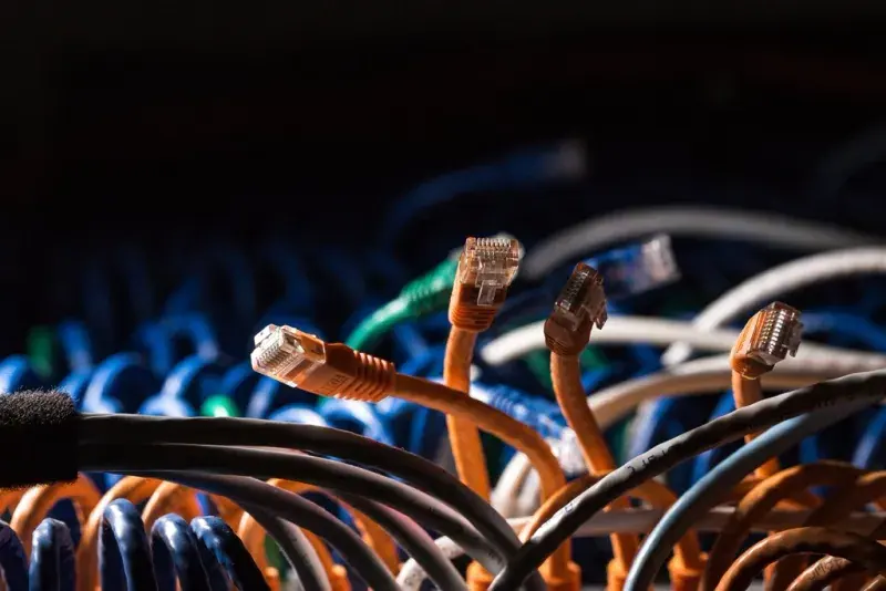 Cabos de rede coloridos conectados a equipamentos, com fundo desfocado